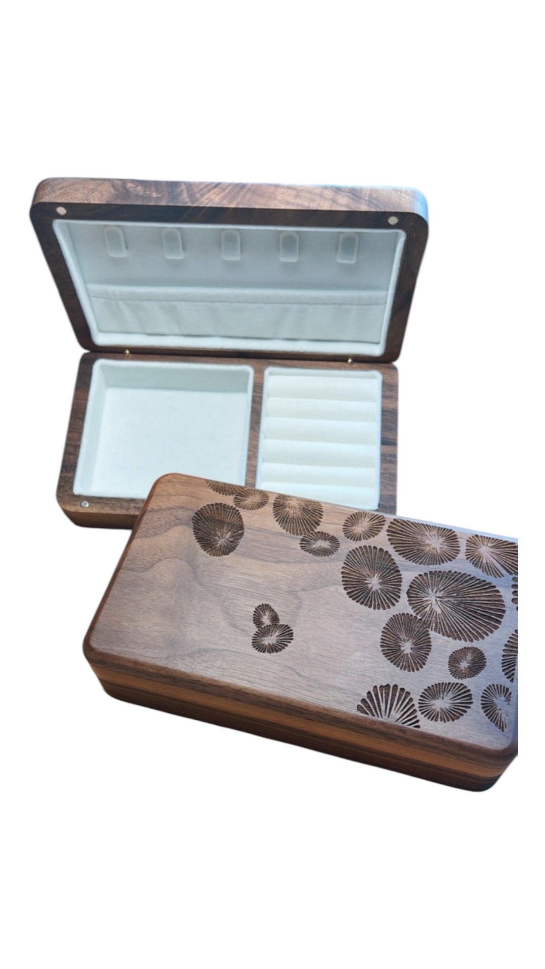 'Opihi Wood Jewlery Box